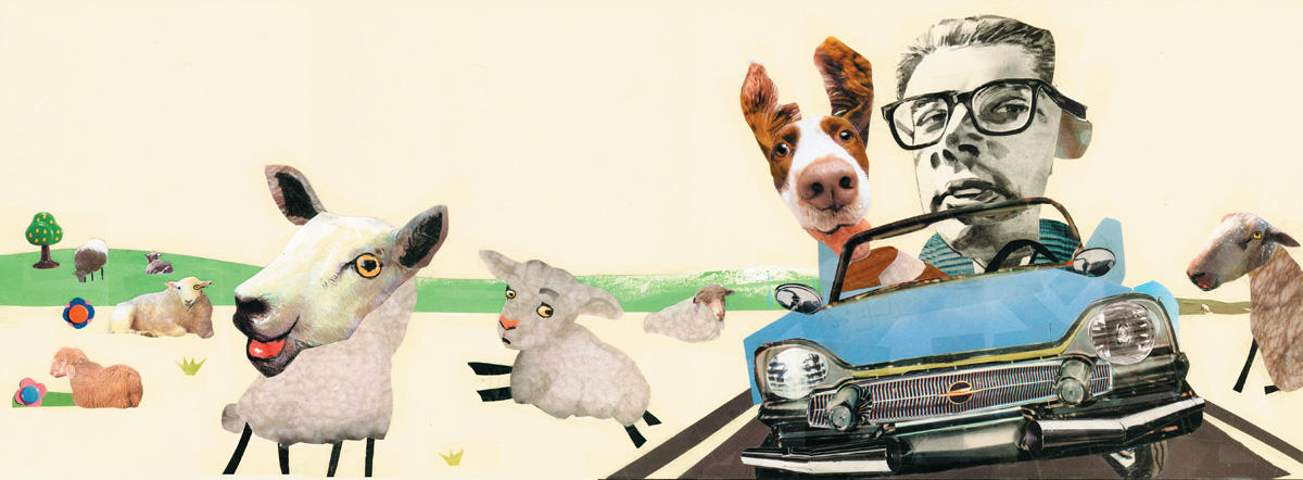children's book collage sheep Rock 'n' Roll countrysite car