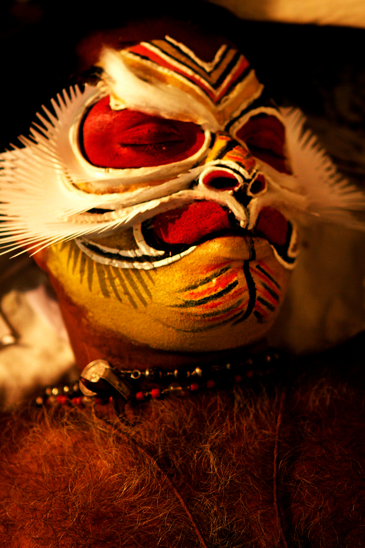 DANCE   kathakali lion man performer kerala India cultural