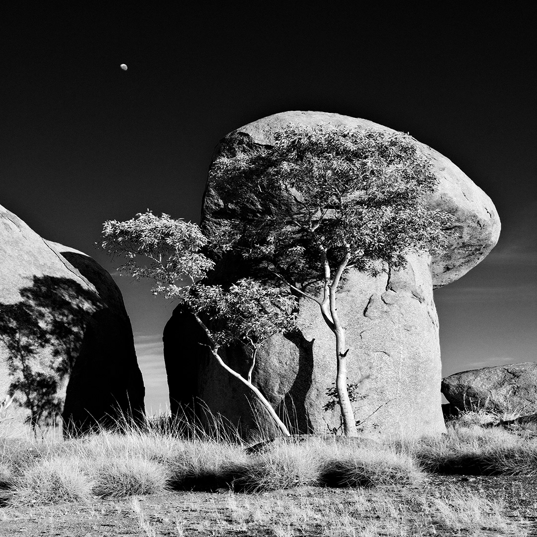 Australia black and white Hasselblad landscape photography long exposure michael schlegel minimal Minimalism monochrome uluru