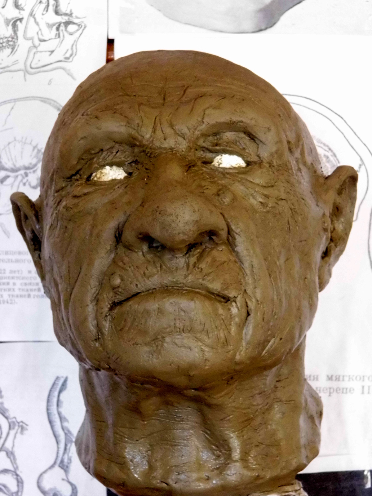 homo neanderthalensis neanderthal old man evolution stoneage