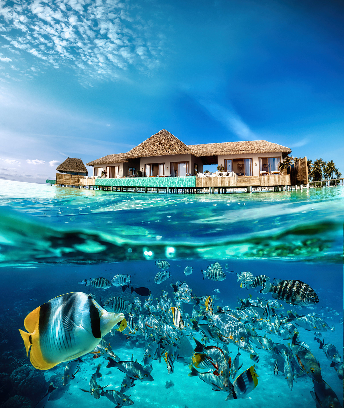 archviz interior design  Maldives Maldives Resort Ocean resort truestudio Trung Trần trungtran visualization