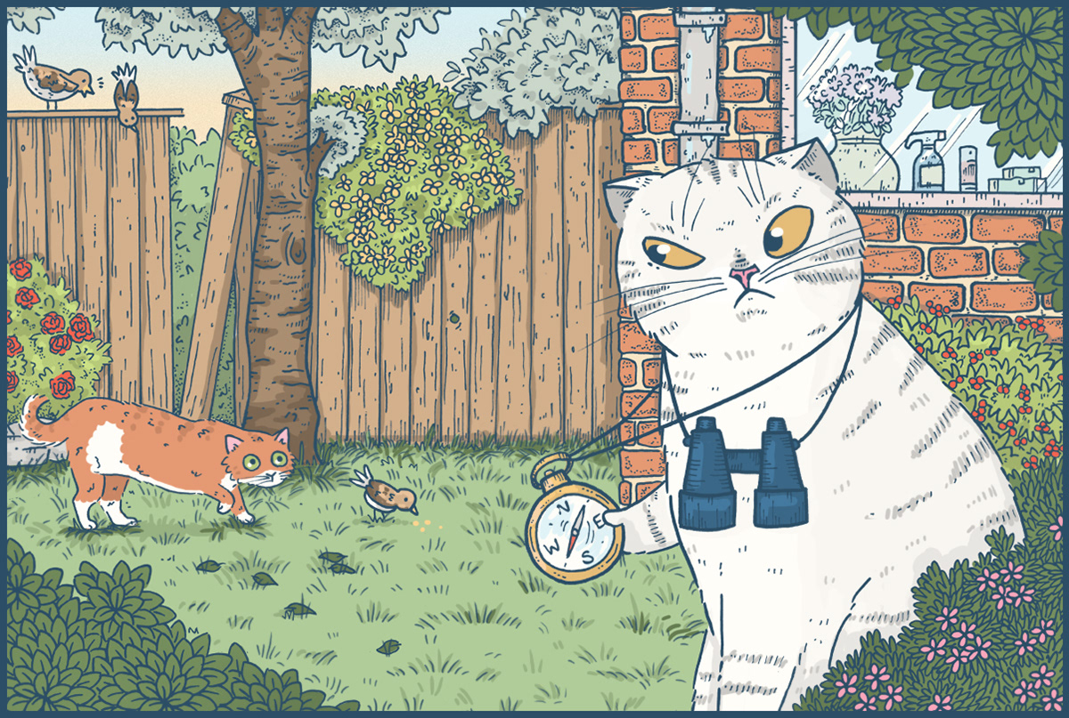 freelance illustration cat illustrations cat illustration Campaign Illustration Cat humour