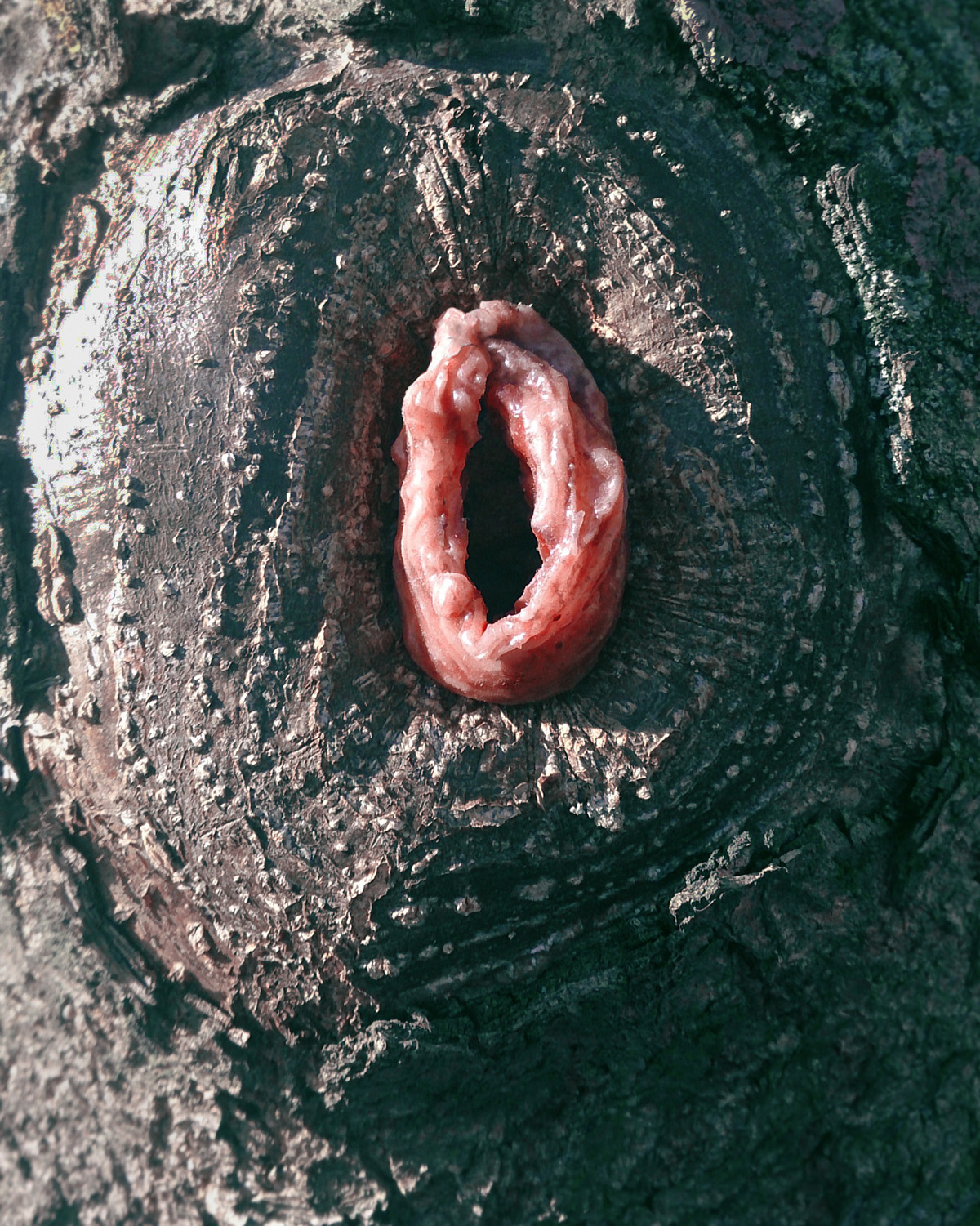 Tree  vagina Jewellery