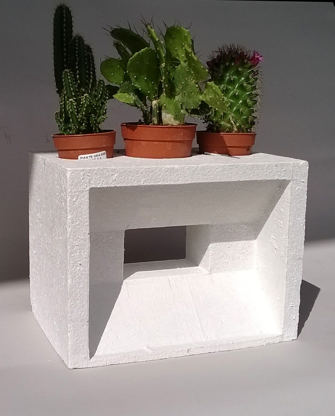 concrete Vase