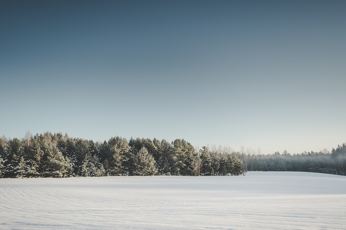 Landscape landscape photography Nature winter snow Photography  lithuania SKY