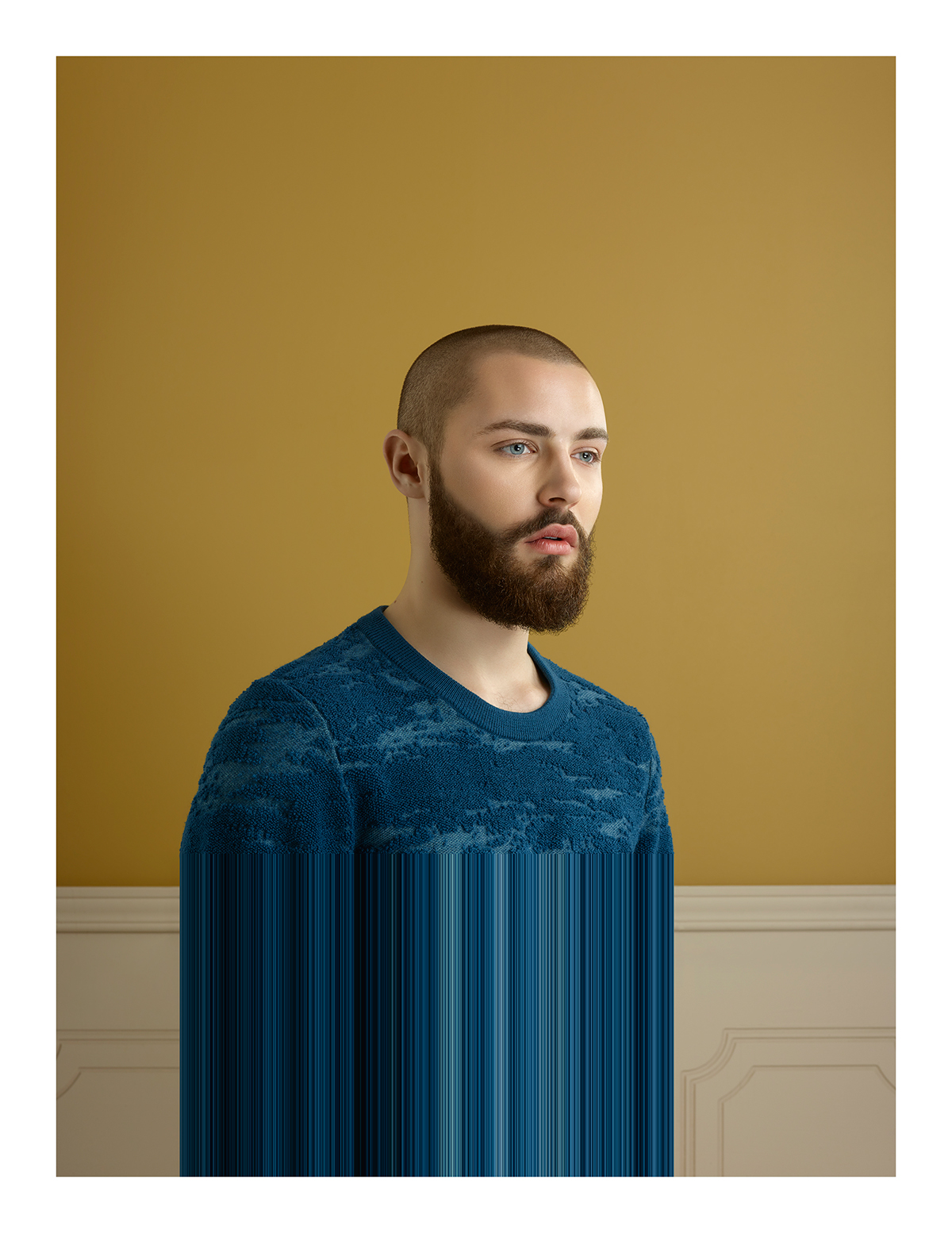 portrait distortion DISTORTED liquify transparent stretched colour