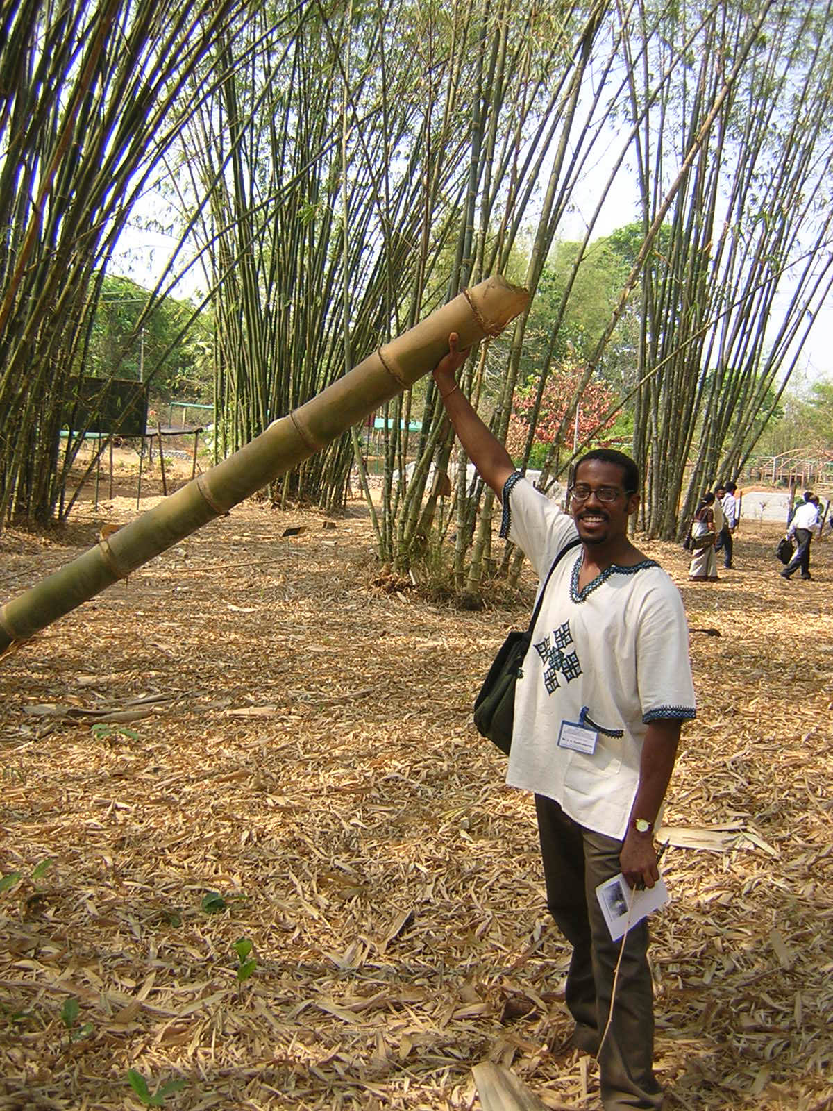 research innovation bamboo Sustainable Development