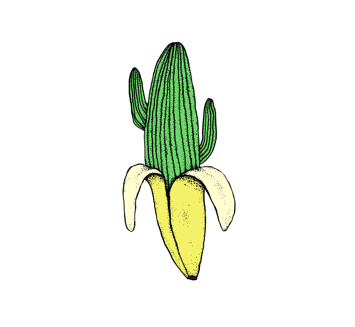 banana cactus apparel tshirt sketch