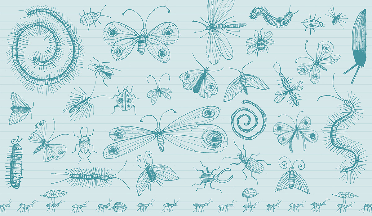 book children's book Picture book kid's Insects bugs wildlife Drawing  ILLUSTRATION  kidlit