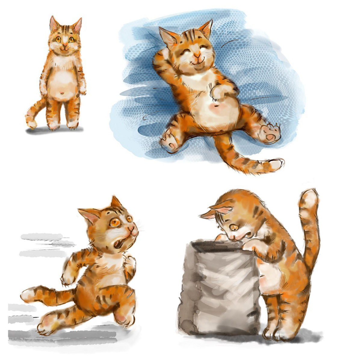 pattern Character Procreat Cat