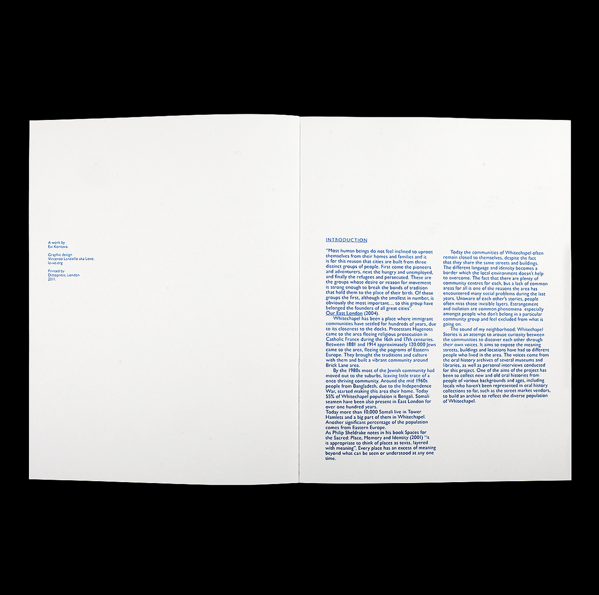 book editorial typography   risograph blue graphic design  Layout