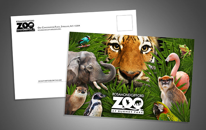 Rosamond Gifford Zoo postcard Gift Shop