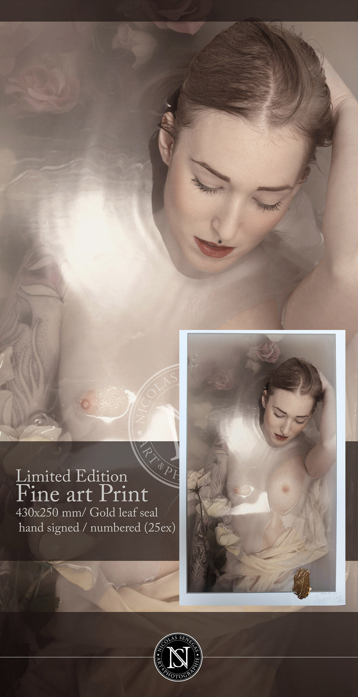 limited edition  Fine-Art Print Gold leaf seal  Limited 25