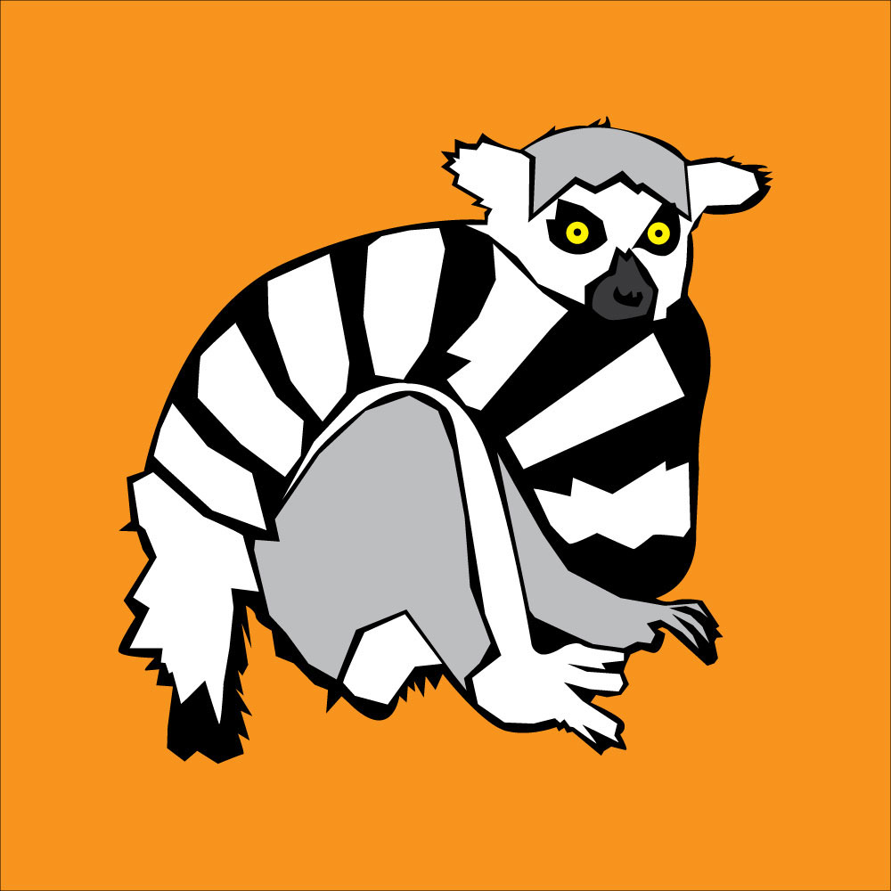 animal lemur africa charracter design