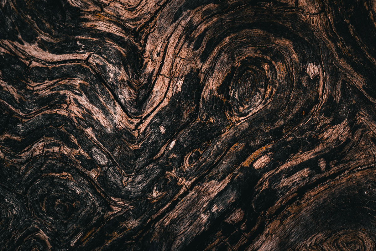 driftwood wood beach abstract macro texture background sea forest