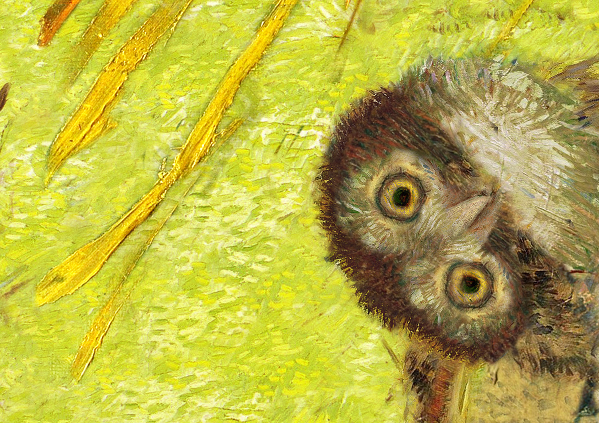 owl vincent van gogh paint