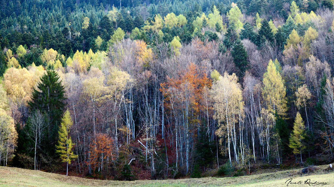 Alpes mountains Landscape autumn