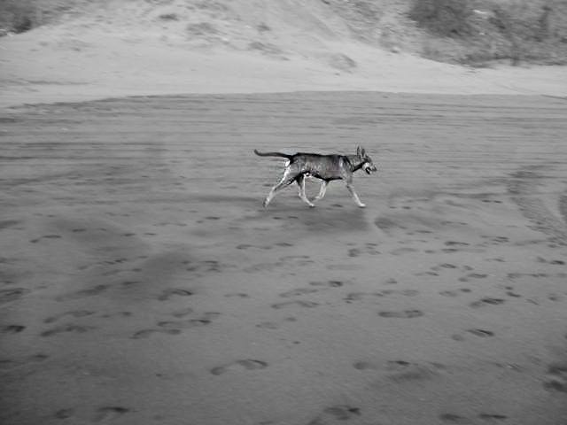gris blanco y negro Focus Fotografia playa Esencia Street Calle