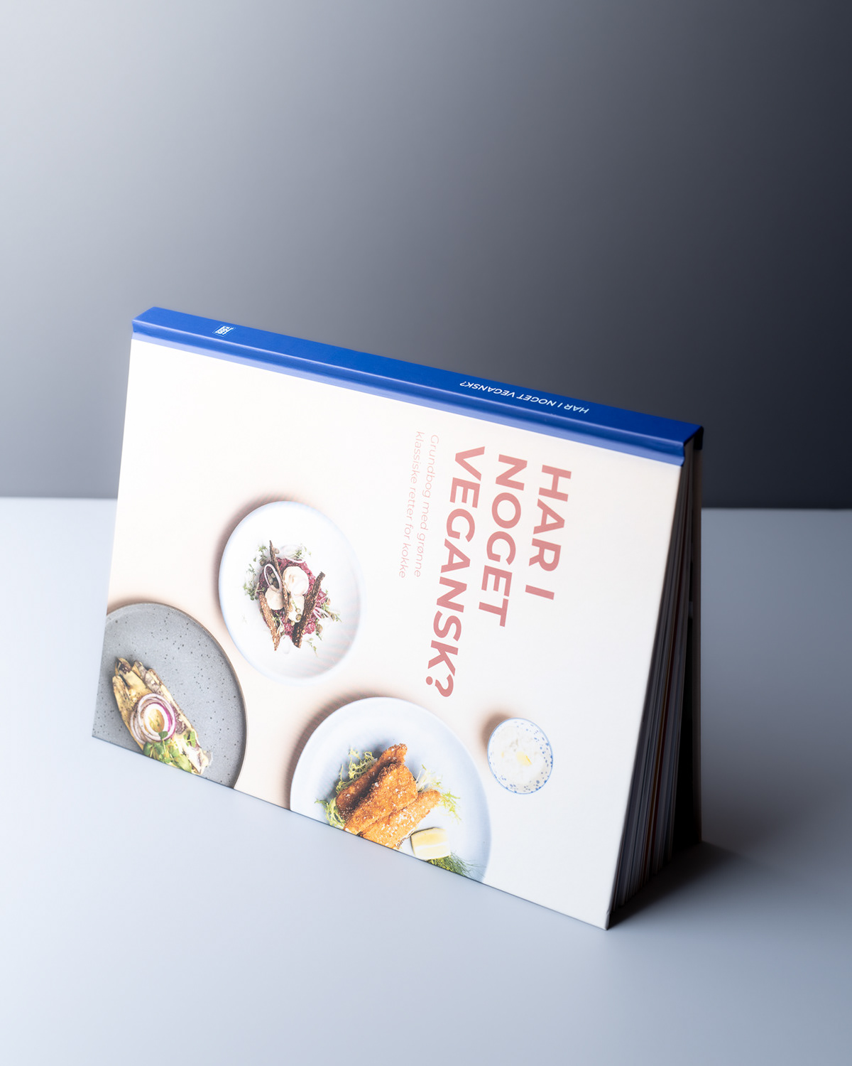 Vegan cookbook with Marlene Lindegaard and Dagrofa Foodservice - photo Martin Kaufmann