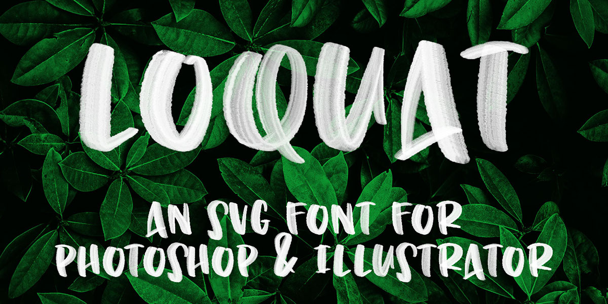 Loquat font svg Opentype transparent photoshop Illustrator brush color Free font