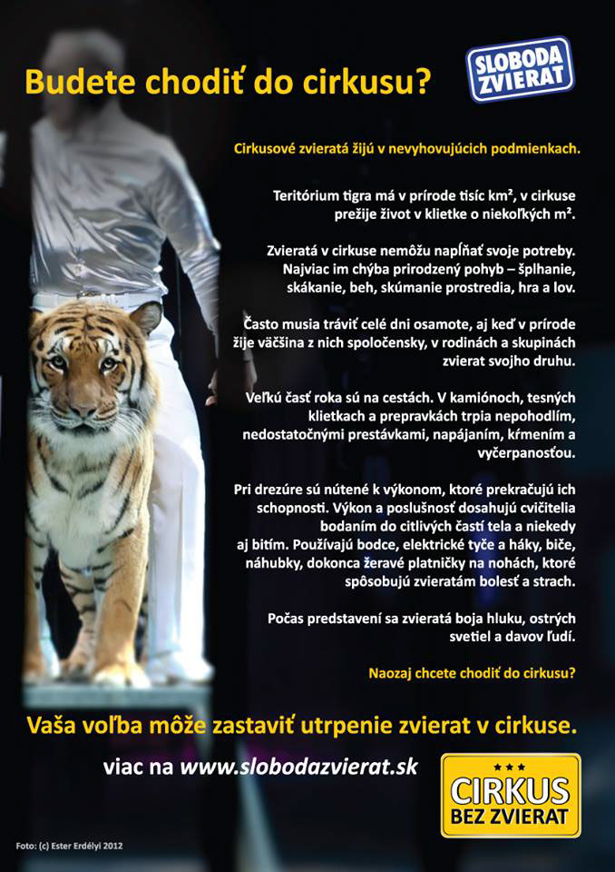 animal rights Circus activist campaign Good Cause