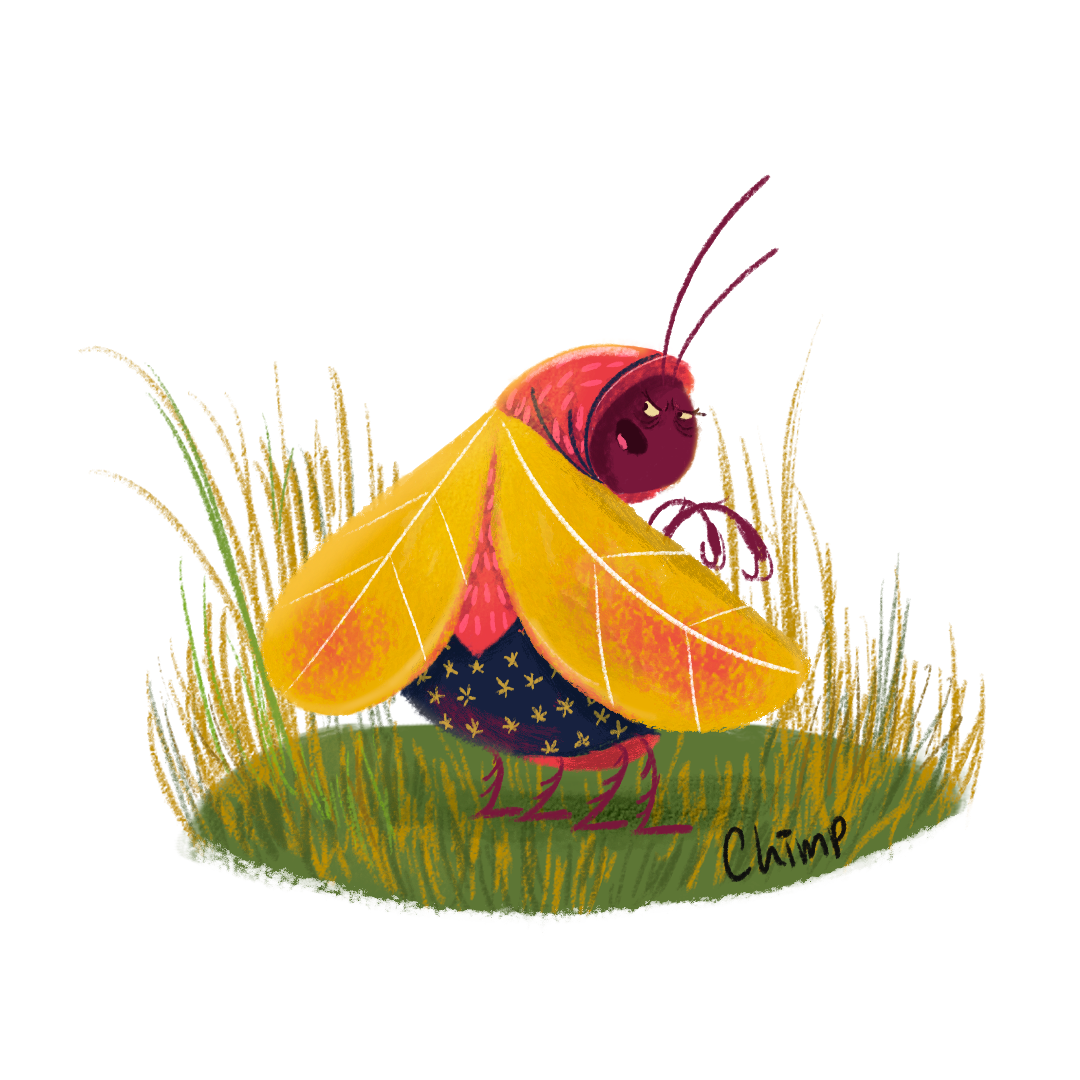 backyard bugs children's illustration children's stories Phosothop