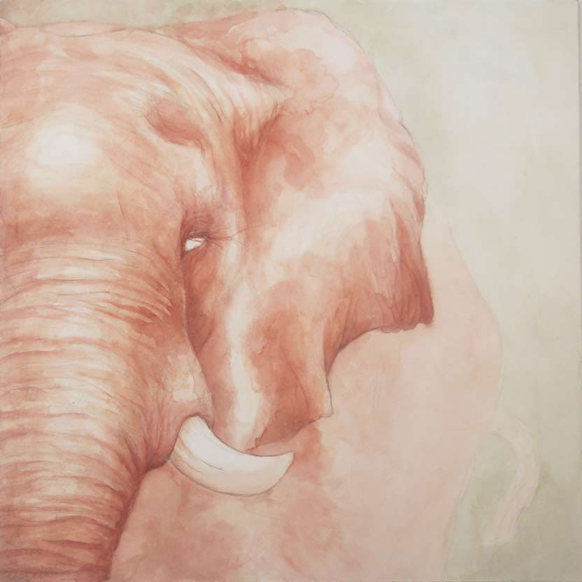 watercolor SCAD Permanent Collection SCAD elephant