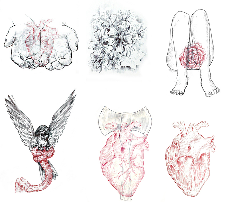 MALVA heart axe cd concept art design draw leg bird