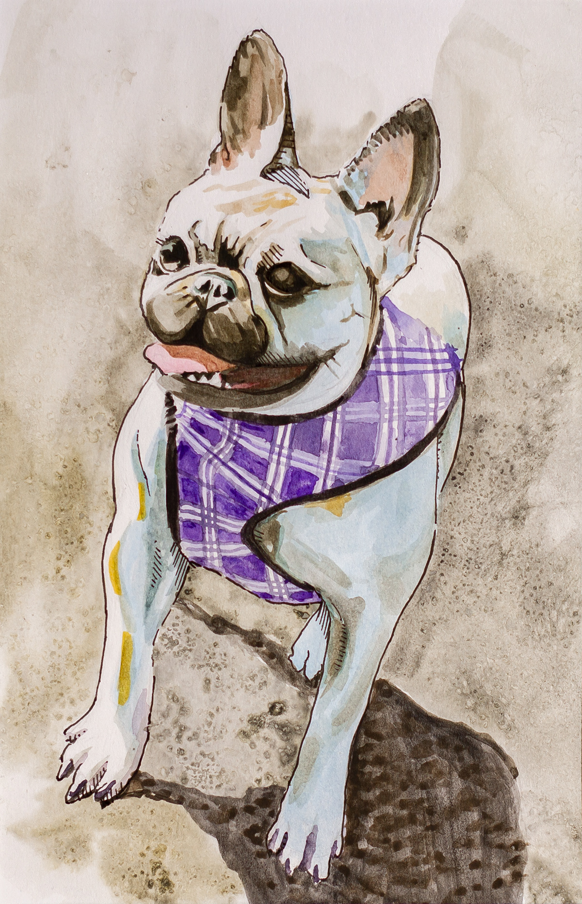 watercolor pets dogs cats commission