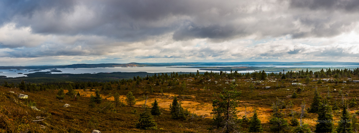 Nature Lapland finland Landscape autumn colours