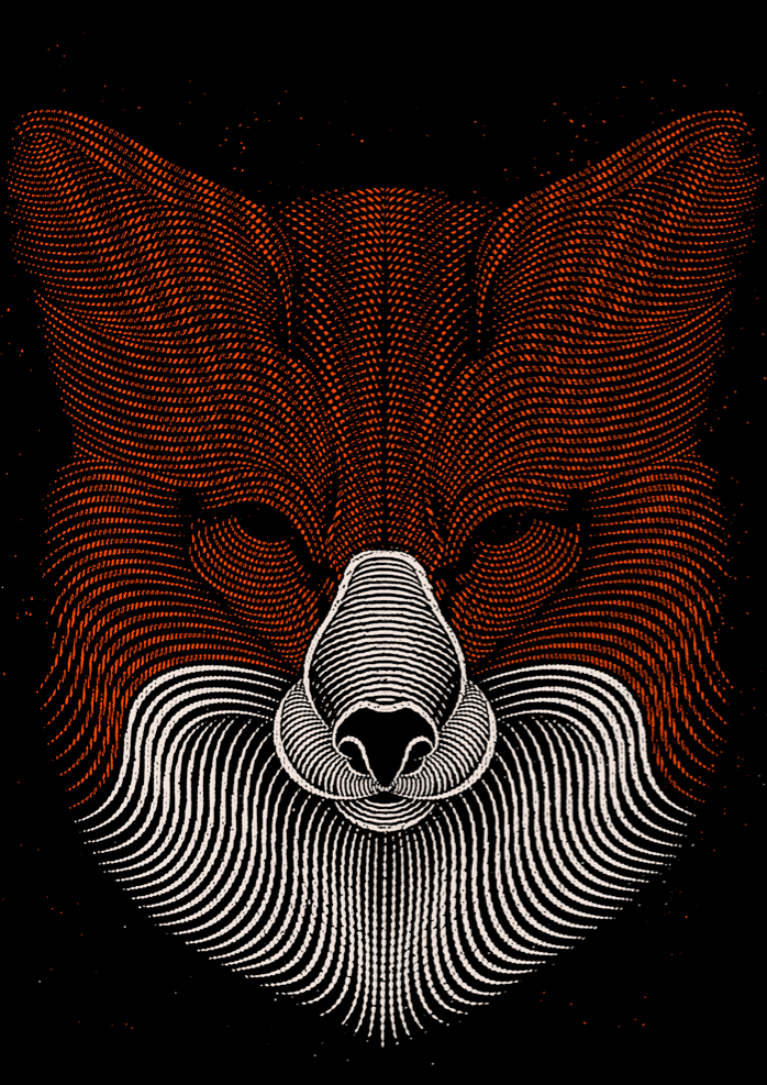 FOX animal face line lines symetric symetry renard