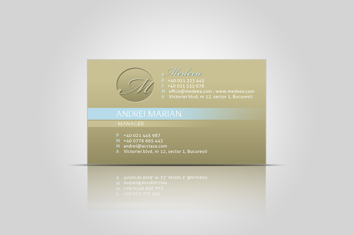 brand identity business card graphic design  typography  