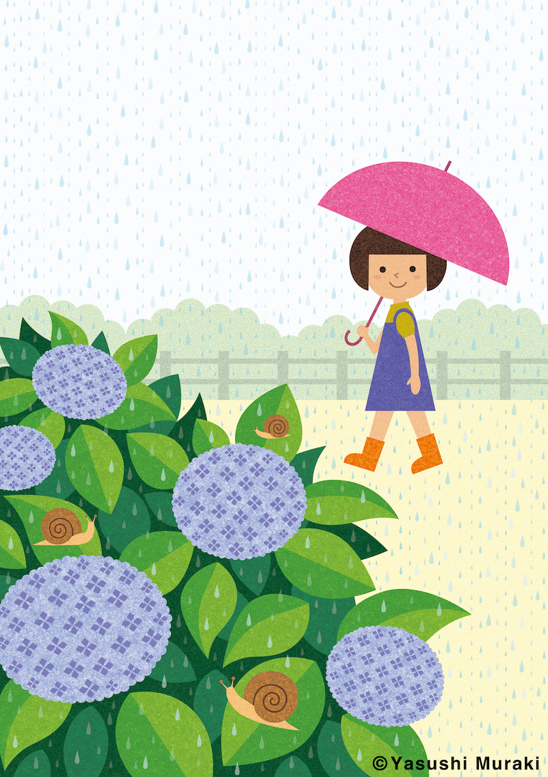 hydrangea flower rain child girl Picture book 紫陽花 rainy season cover illustration Children's Books