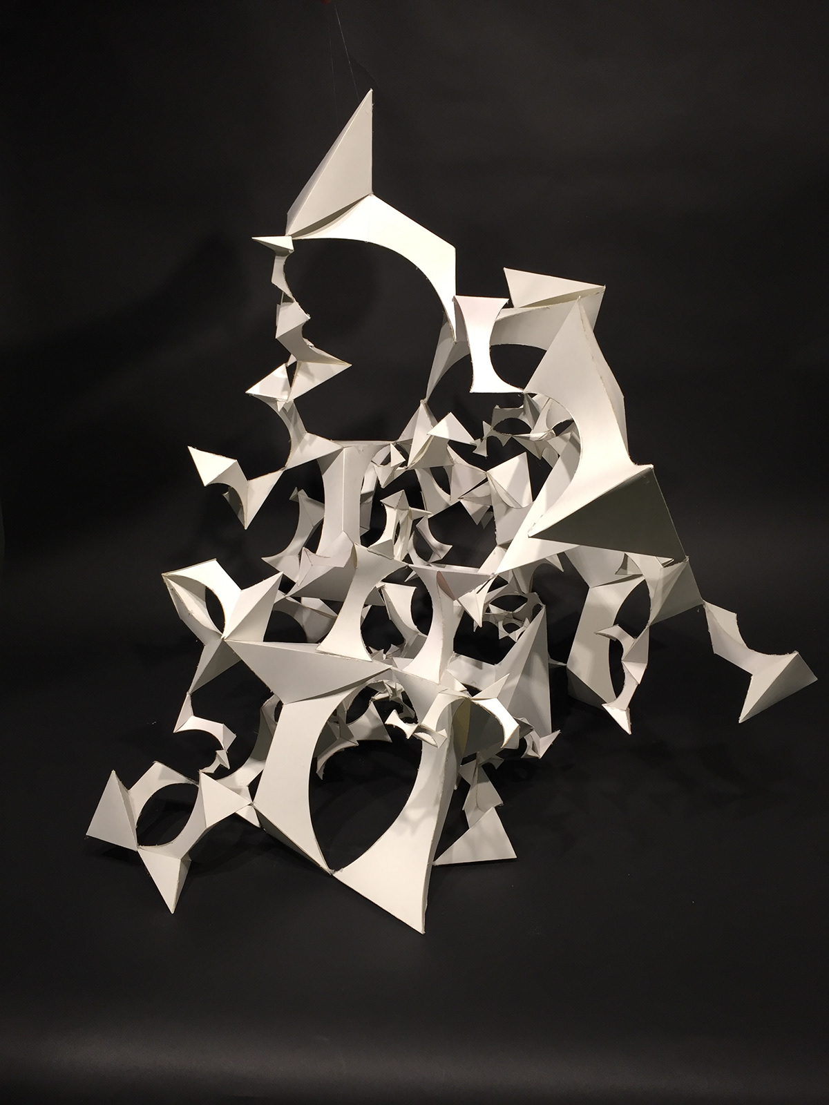 Adobe Portfolio Spacial Dynamics  studio risd fractal module representation