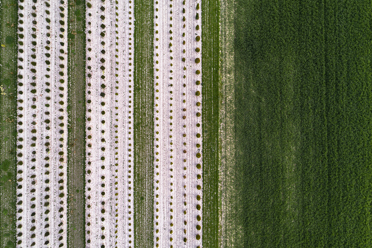 Aerial drone quadrocopter Perspective Nature gardening aerial phtography abstract adobeawards