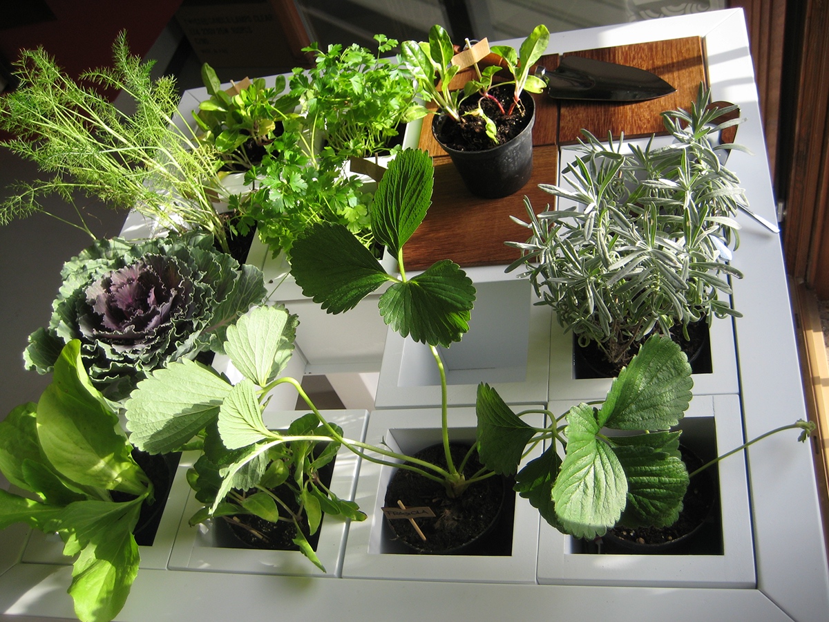 table  Garden  vegetables tools home km0 va+am design design green eco ecofriendly Flowers Interior product