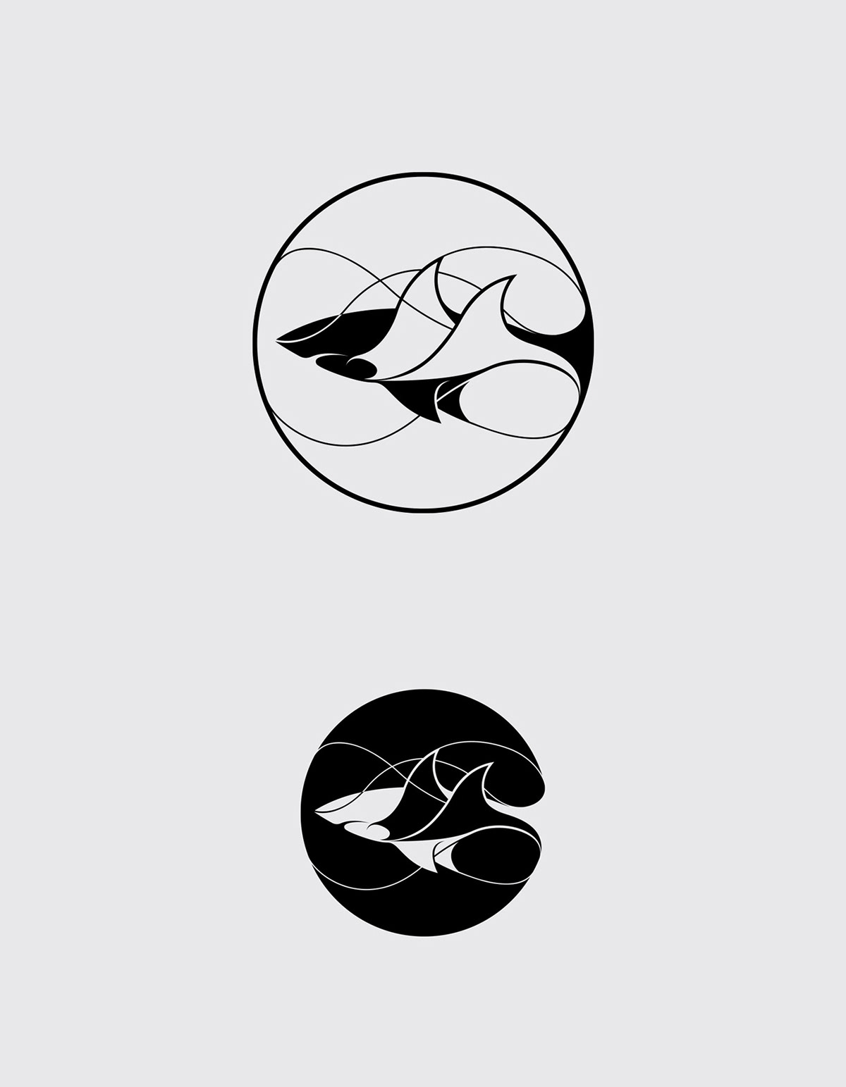 superfried logo brand identity sharks rays ILLUSTRATION  graphic design  charity dicaprio foundation shark conservation