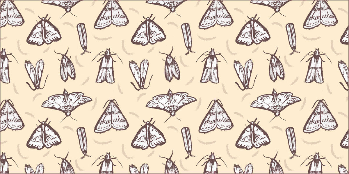 Illustrator surface design moth insect repeat