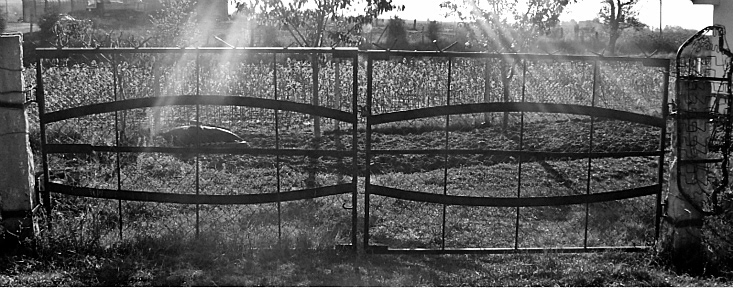 gates gate