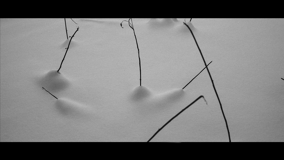 Nature land black and white b&w Experimentation soft light art photographer Landscape minimalist beauty