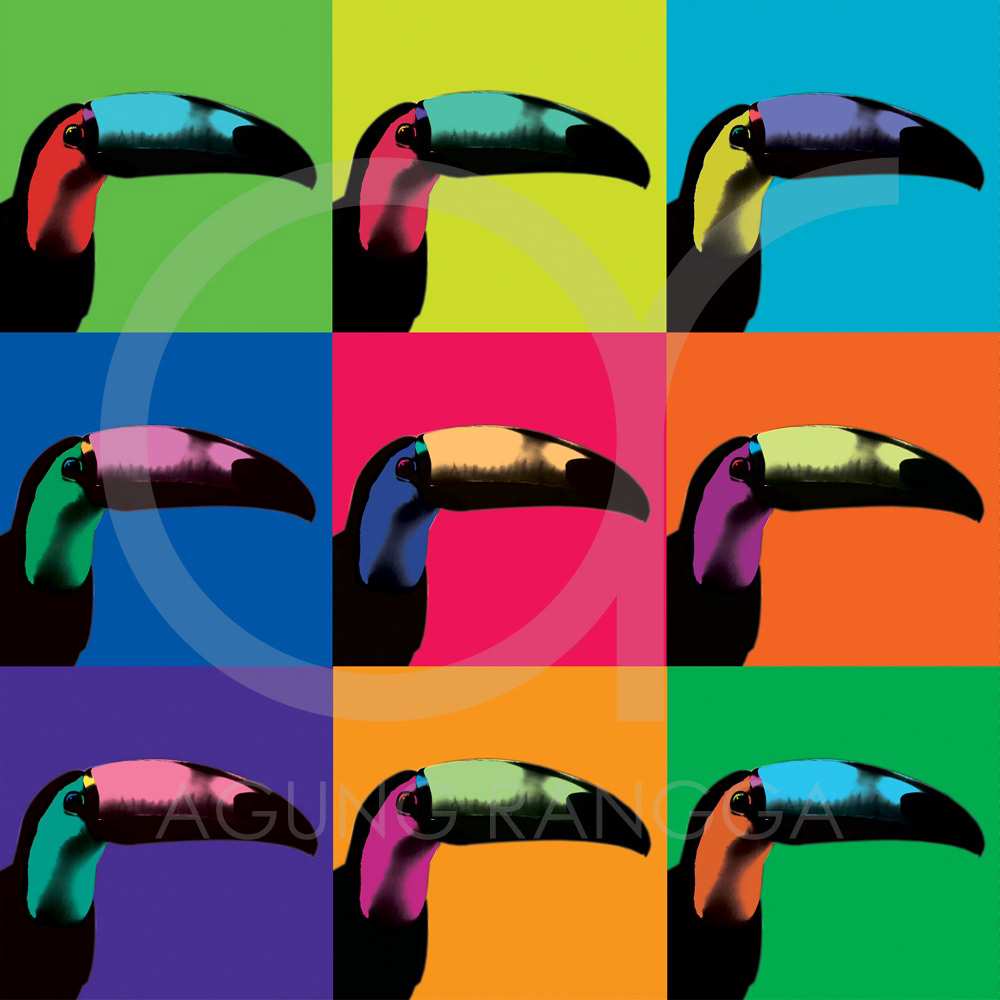 toucan bird Pop Art visualization