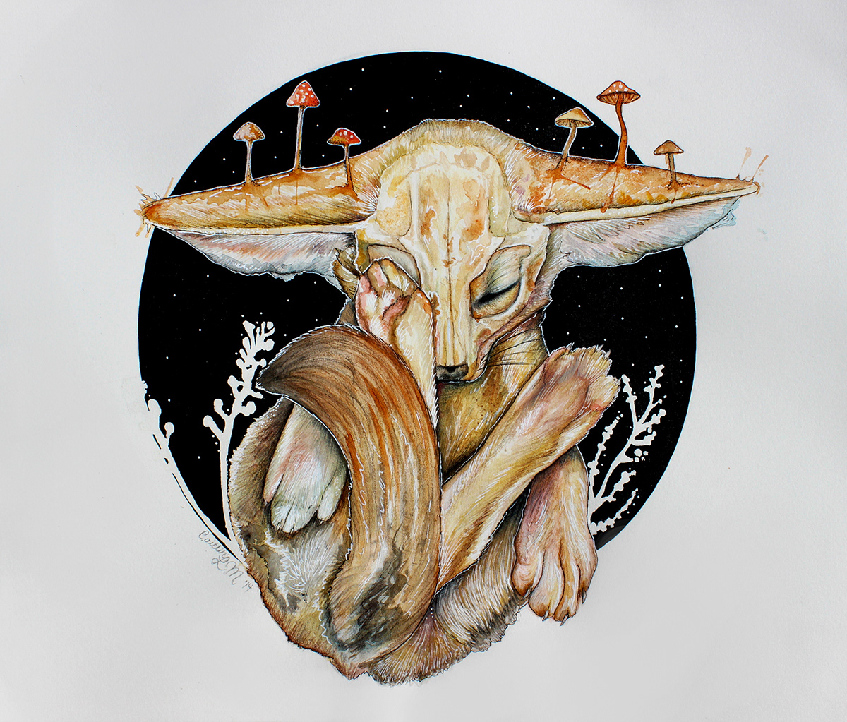 watercolor art FOX fennec FennecFox Mushrooms skull fox skull fennec fox sleeping circle