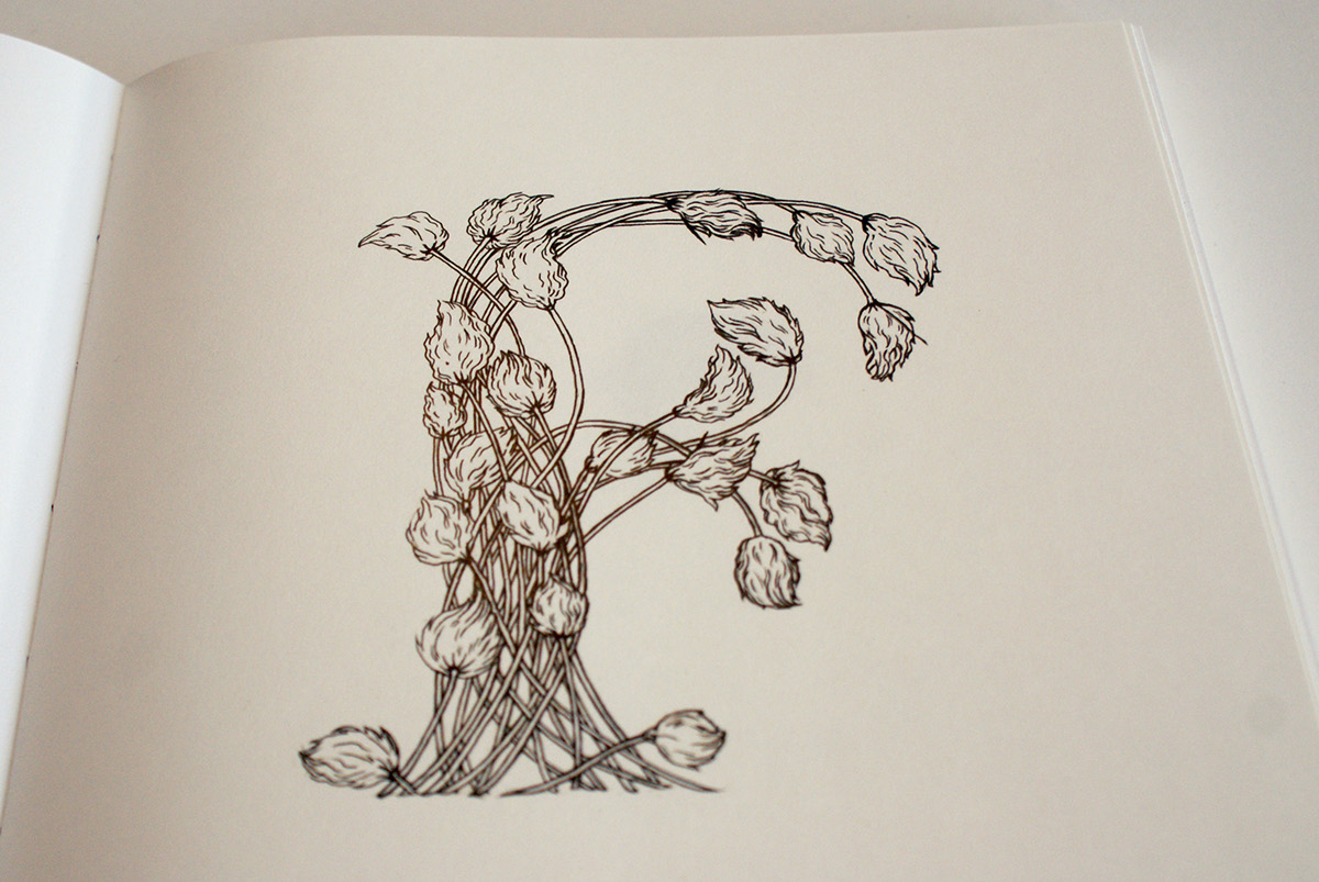 alphabet Typeface letter Nature Flowers bird iceland art decorative william morris Eric Gill poppy Bookbinding