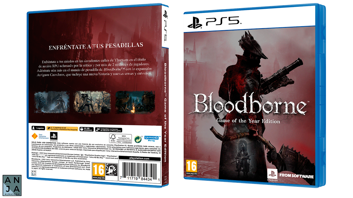 Bloodborne cover Fan Art fan cover From Software playstation ps5 souls