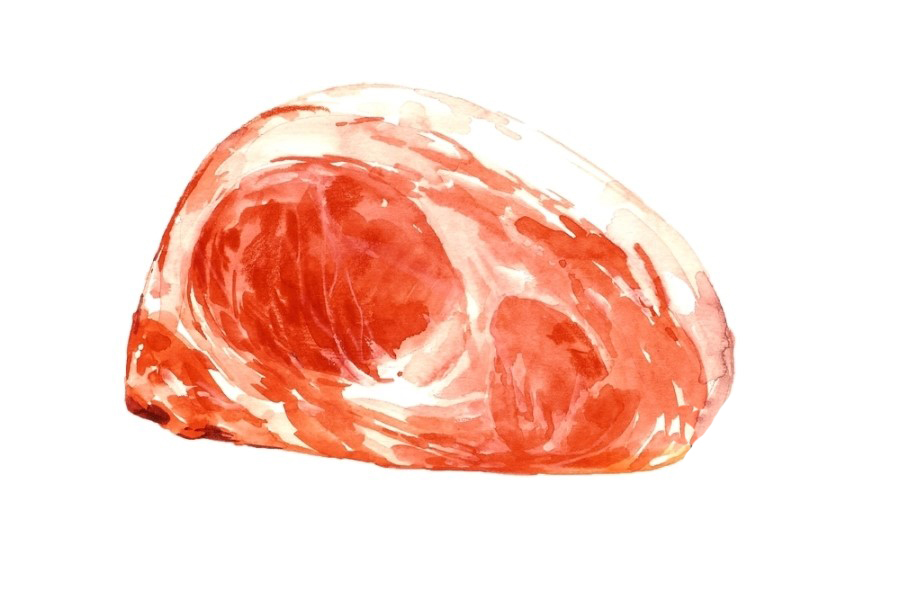 meat illustration vegetables illustration watercolor