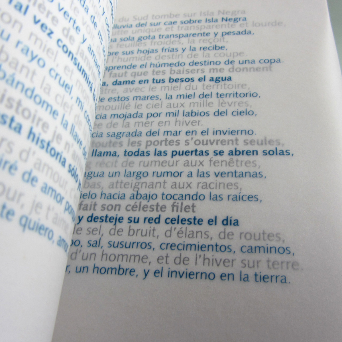 Poetry  neruda bilingual edition book DNAP art school