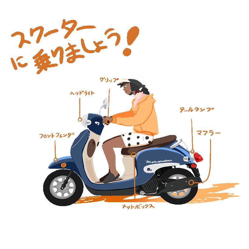 car drivers licence japanese Guide suzuki hayabusa motorbike Scooter