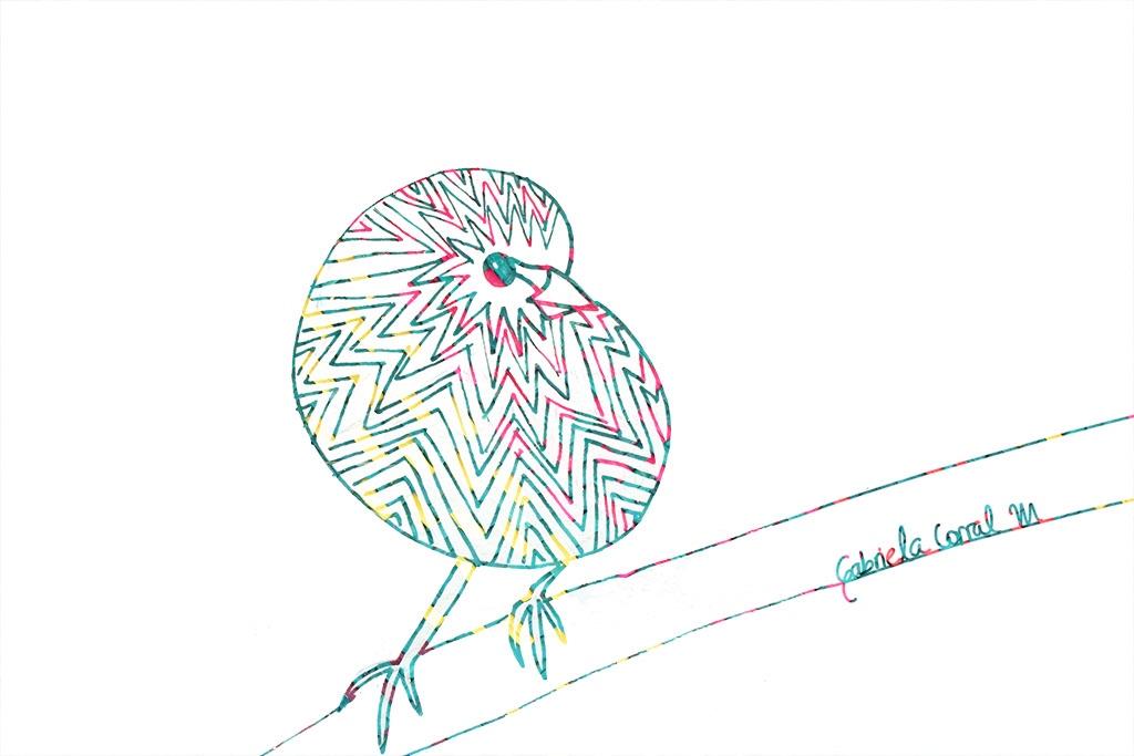 birds  pajaros paja toquilla colour lines lineas Gabriela Corral
