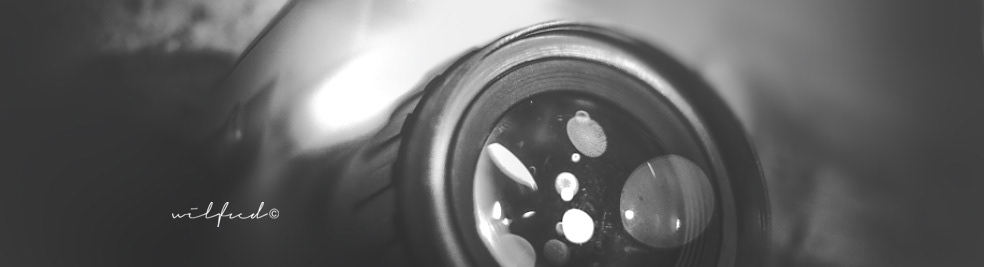 macro Pentax camera 8mm depth of field bokeh