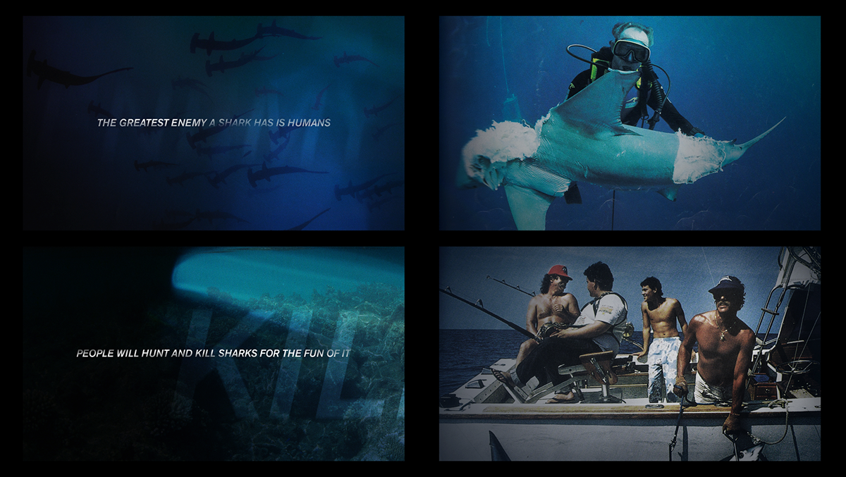 Title title sequence design board styleframes jaws Movies